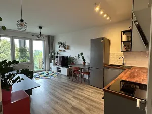 Prodej bytu 2+kk, Praha - Hloubětín, Lehovecká, 50 m2