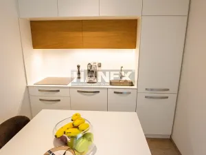 Pronájem bytu 1+kk, Praha - Košíře, Česká, 48 m2