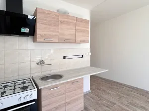Pronájem bytu 1+1, Jirkov, Vinařická, 38 m2