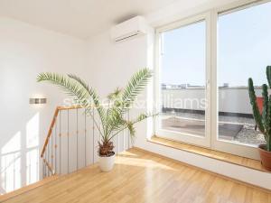 Pronájem bytu 4+kk, Brno, Lelkova, 165 m2