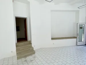 Pronájem obchodního prostoru, Praha - Libeň, Krejčího, 55 m2