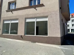 Pronájem obchodního prostoru, Praha - Libeň, Krejčího, 55 m2