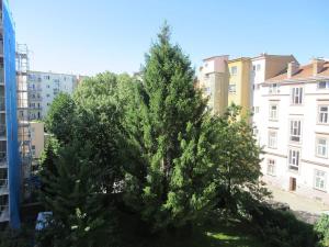 Prodej bytu 2+1, Brno, Kudelova, 60 m2