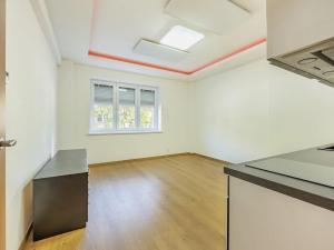 Prodej bytu 2+kk, Praha - Žižkov, Hartigova, 45 m2