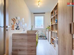 Prodej bytu 3+1, České Budějovice - České Budějovice 2, M. Chlajna, 67 m2