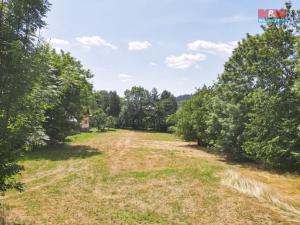 Prodej pozemku pro bydlení, Brantice - Radim, 1200 m2