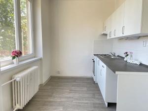 Pronájem bytu 2+1, Litvínov, Alešova, 51 m2