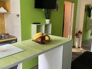 Pronájem bytu 1+kk, Ostrava, Karla Pokorného, 27 m2