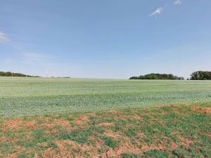 Prodej pole, Dolní Bojanovice, 3611 m2