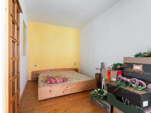 Prodej vícegeneračního domu, Nová Ves, 212 m2