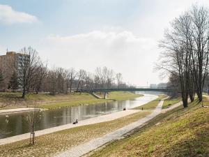 Pronájem bytu 1+1, Ostrava, Bohumínská, 35 m2
