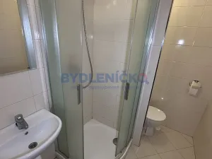 Pronájem bytu 1+kk, Borovany, Třeboňská, 28 m2