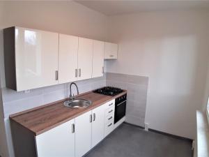 Pronájem bytu 2+1, Litvínov - Horní Litvínov, Podkrušnohorská, 57 m2
