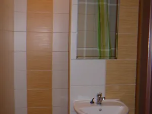 Pronájem bytu 1+kk, Orlová, F. S. Tůmy, 33 m2