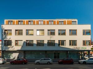 Prodej bytu 2+1, Litomyšl, Havlíčkova, 66 m2