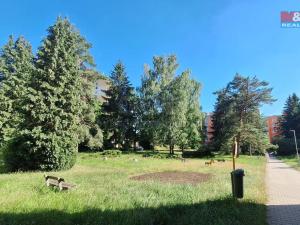 Prodej bytu 1+kk, Nový Bor, Sadová, 19 m2