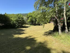 Prodej chalupy, Janov, 101 m2