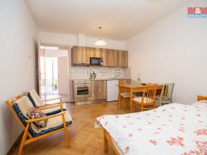 Pronájem bytu 1+kk, Počátky, Štítného nám., 28 m2