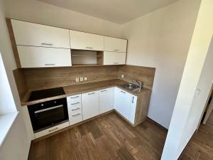 Pronájem bytu 1+kk, Děčín, Na Slatinách, 35 m2