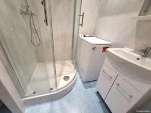 Pronájem bytu 1+kk, Hradec Králové, Jungmannova, 35 m2