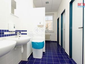 Pronájem kanceláře, Opava - Předměstí, Těšínská, 30 m2