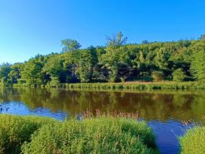Prodej louky, Nižbor - Žloukovice, 1665 m2