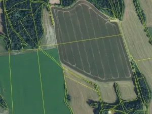 Prodej pozemku pro bydlení, Chotěvice, 6617 m2