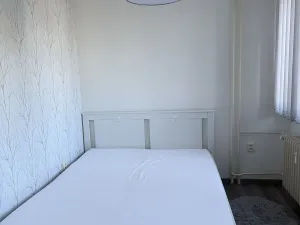 Pronájem bytu 3+kk, Mladá Boleslav, Purkyňova, 64 m2