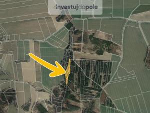 Prodej pozemku, Hlasivo, 6561 m2