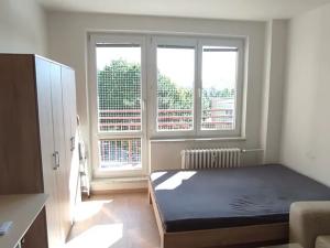 Pronájem bytu 1+kk, Ostrava, Gen. Janouška, 32 m2