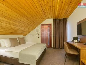 Prodej činžovního domu, Jáchymov - Suchá, 800 m2