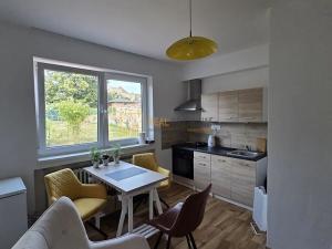 Pronájem bytu 1+1, Uherský Brod, Svat. Čecha, 30 m2