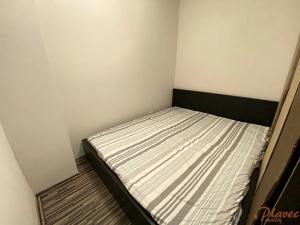 Pronájem bytu 1+kk, Holubice, Platanová, 48 m2
