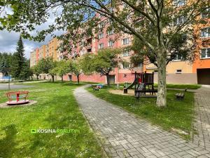Pronájem bytu 1+1, Kynšperk nad Ohří, U Pivovaru, 40 m2