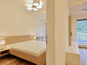 Pronájem bytu 2+kk, Brno, Bystrcká, 56 m2