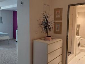Pronájem bytu 2+kk, Brno - Černá Pole, Jugoslávská, 52 m2