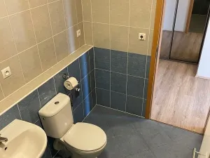 Pronájem bytu 2+kk, Praha - Vysočany, Kabešova, 56 m2