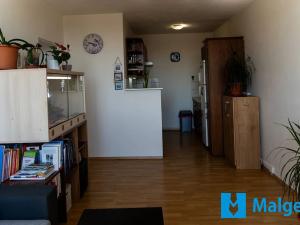 Prodej bytu 2+kk, Praha - Letňany, Krausova, 43 m2