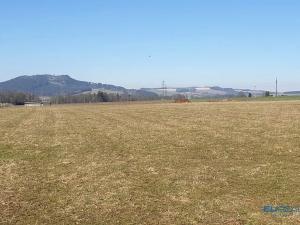 Prodej louky, Police nad Metují, 8002 m2