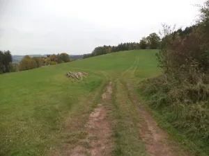 Dražba pozemku, Lázně Bělohrad, 2376 m2