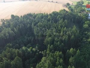 Prodej lesa, Tábor - Horky, 5139 m2