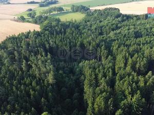 Prodej lesa, Tábor - Horky, 5139 m2