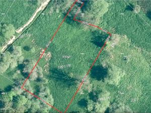 Dražba pozemku pro bydlení, Nová Ves, 6642 m2