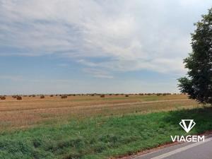 Prodej podílu pole, Praha - Cholupice, 2333 m2