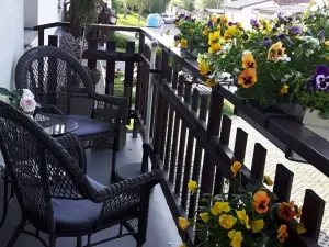 Pronájem bytu 3+1, Žamberk, Kyjevská, 76 m2