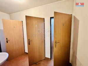 Pronájem skladu, Dražice, 800 m2