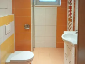 Pronájem bytu 1+1, Chomutov, Karla Buriana, 47 m2
