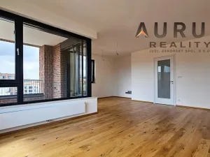 Pronájem bytu 4+kk, Praha - Nusle, Bělehradská, 130 m2