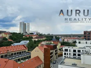 Pronájem bytu 4+kk, Praha - Nusle, Bělehradská, 130 m2