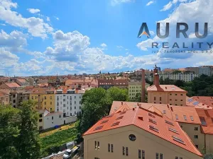 Pronájem bytu 4+kk, Praha - Nusle, Bělehradská, 130 m2